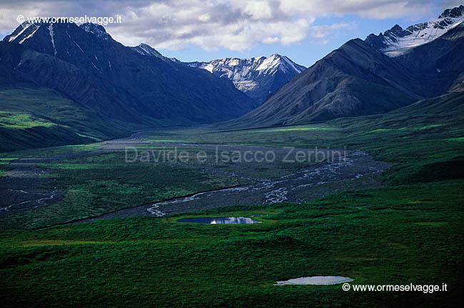 Denali 37-20-07